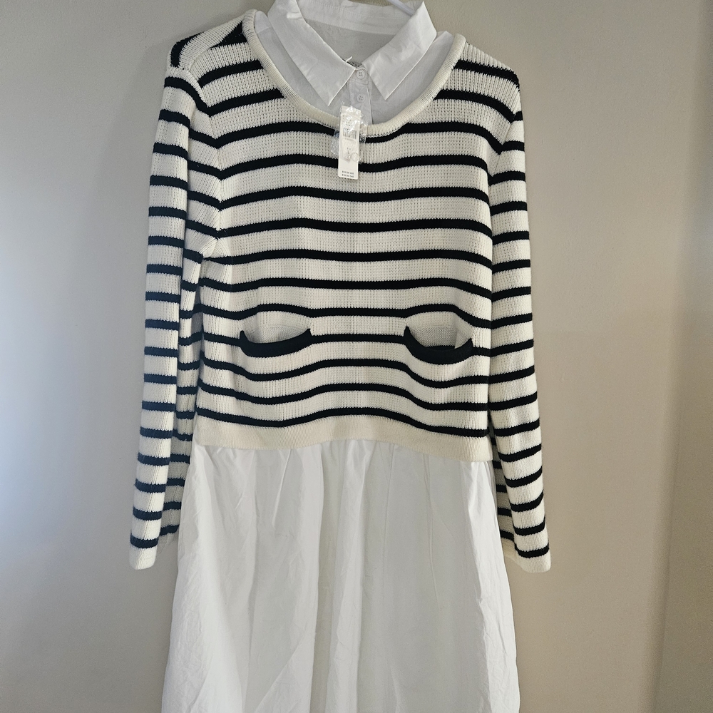 Anthropologie Black and White Striped Dress